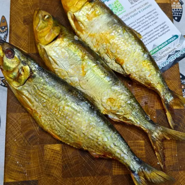 Залом Каспийский